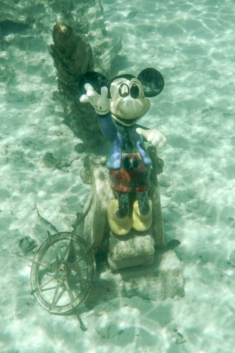 Castaway Cay's Snorkeling Lagoon • The Disney Cruise Line Blog