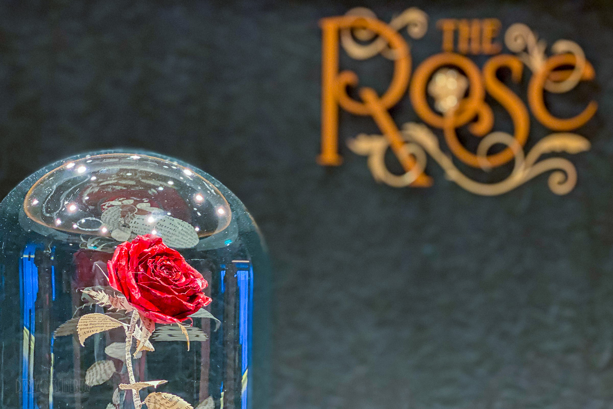 Είσοδος Disney Wish The Rose