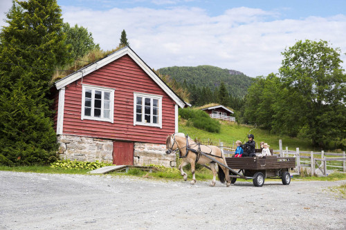 Norwegian Fjord Horse Center