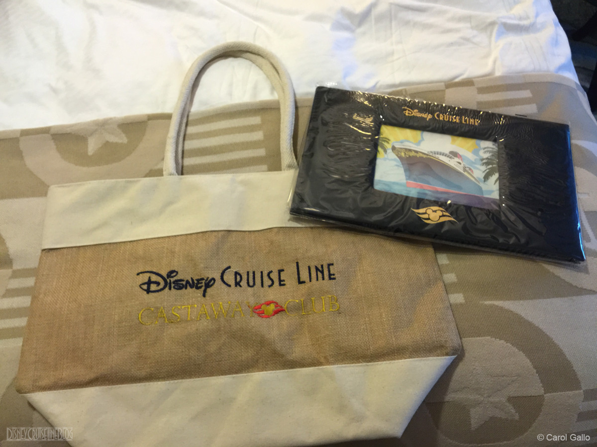 DCL Castaway Club Tote Bag Platinum Gift Late 2015