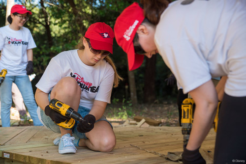 Disney Cruise Line VoluntEARS At Pine Island Conservation Area Decking