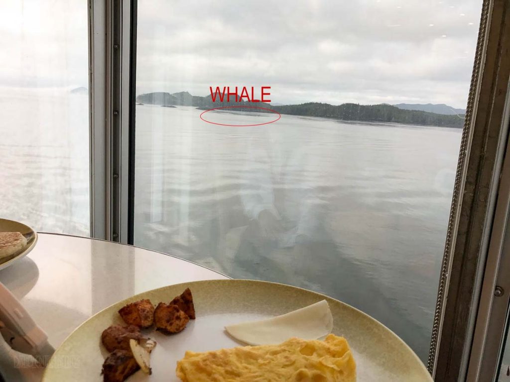 Cabanas Breakfast Whale Watching