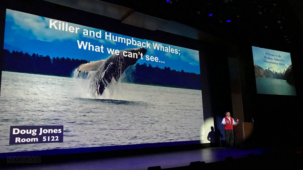 Alaska Nature Talk Doug Jones Killer And Humpback Whales