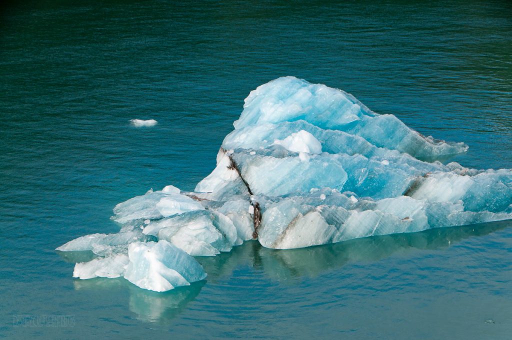 Endicott Arm Iceberg