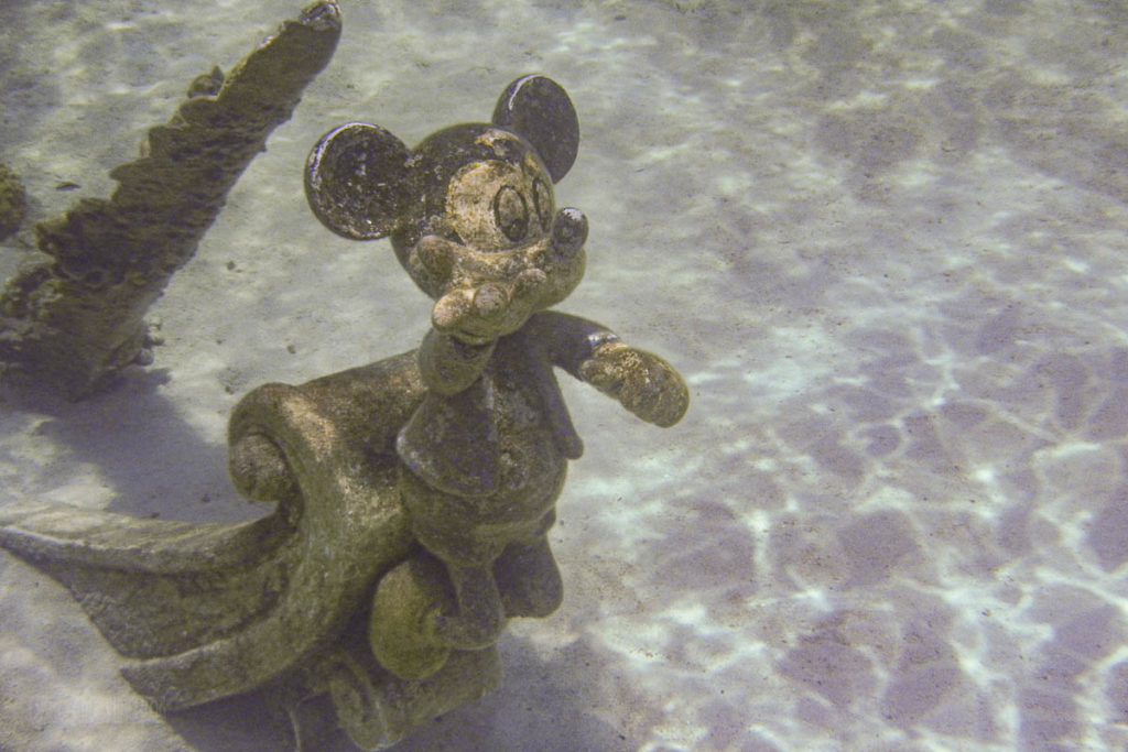 Castaway Cay Snorkeling Lagoon Mickey Mouse