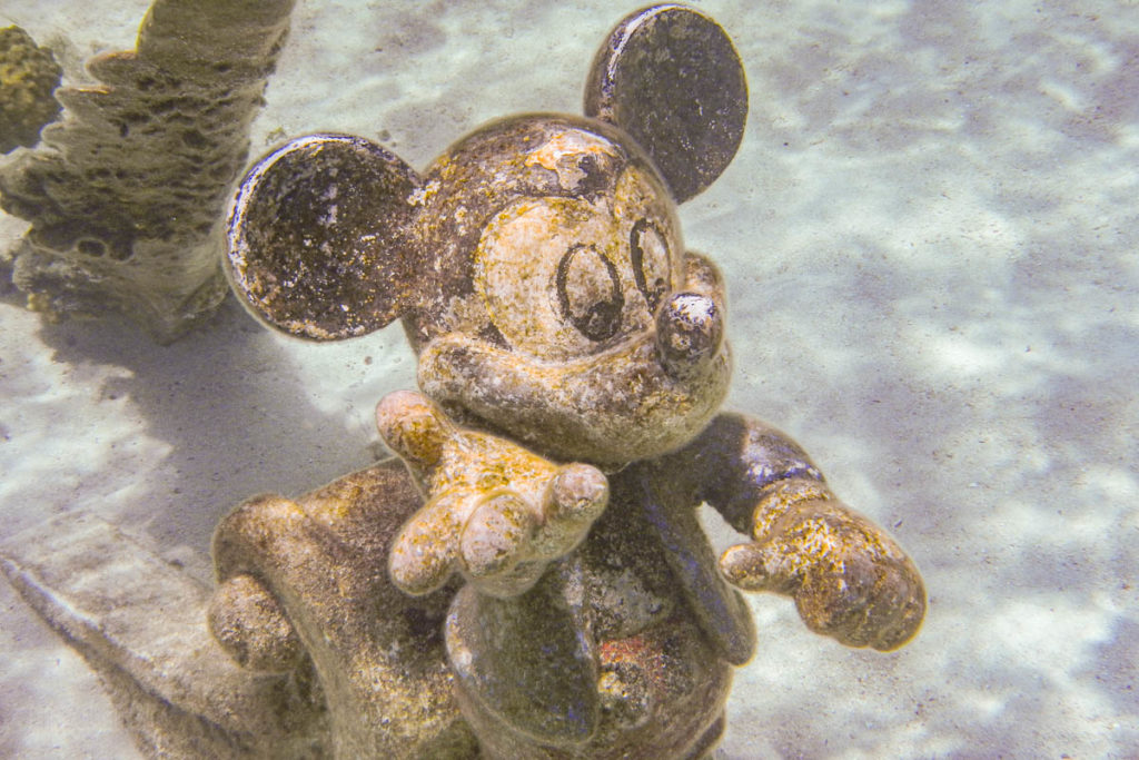 Castaway Cay Snorkeling Lagoon Mickey Mouse