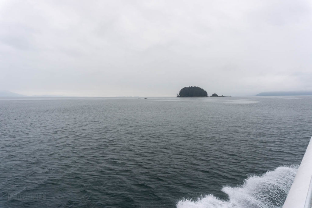 Icy Strait Point Whale Marine Mammals Cruise IS01 Sailing