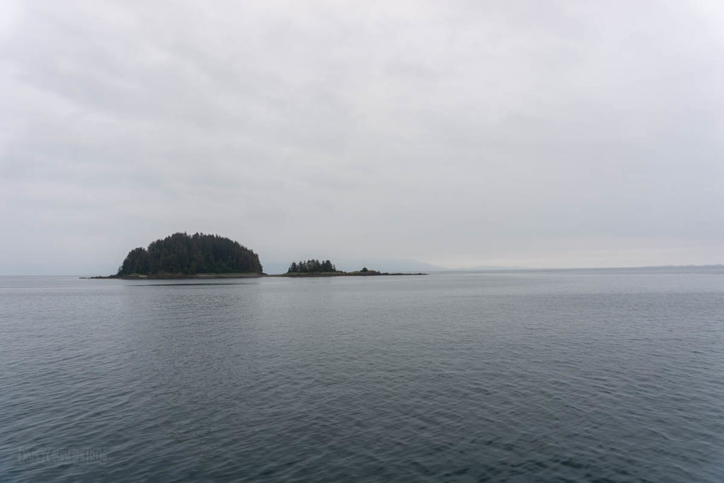 Icy Strait Point Whale Marine Mammals Cruise IS01 Sailing