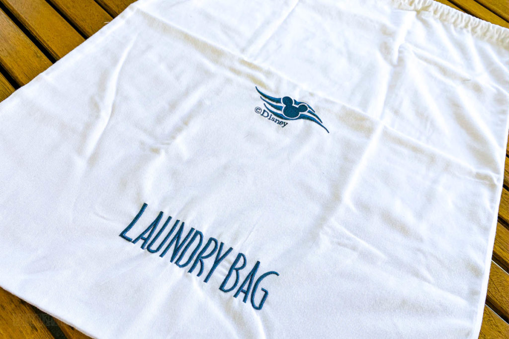 Disney Cruise Laundry Garment Bag