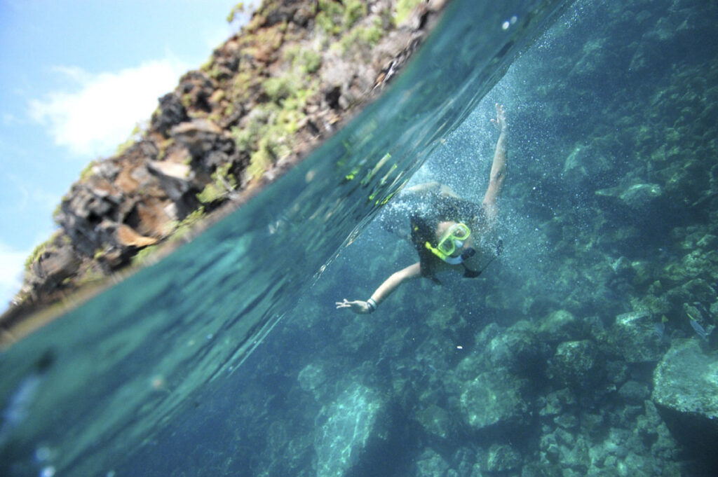 Adventures By Disney Expedition Cruises – Snorkeling In The Galapagos