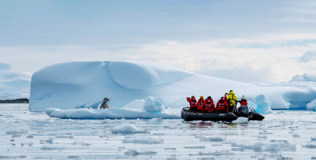 Adventures By Disney Expedition Cruises – Wildlife Viewings In Antarctica