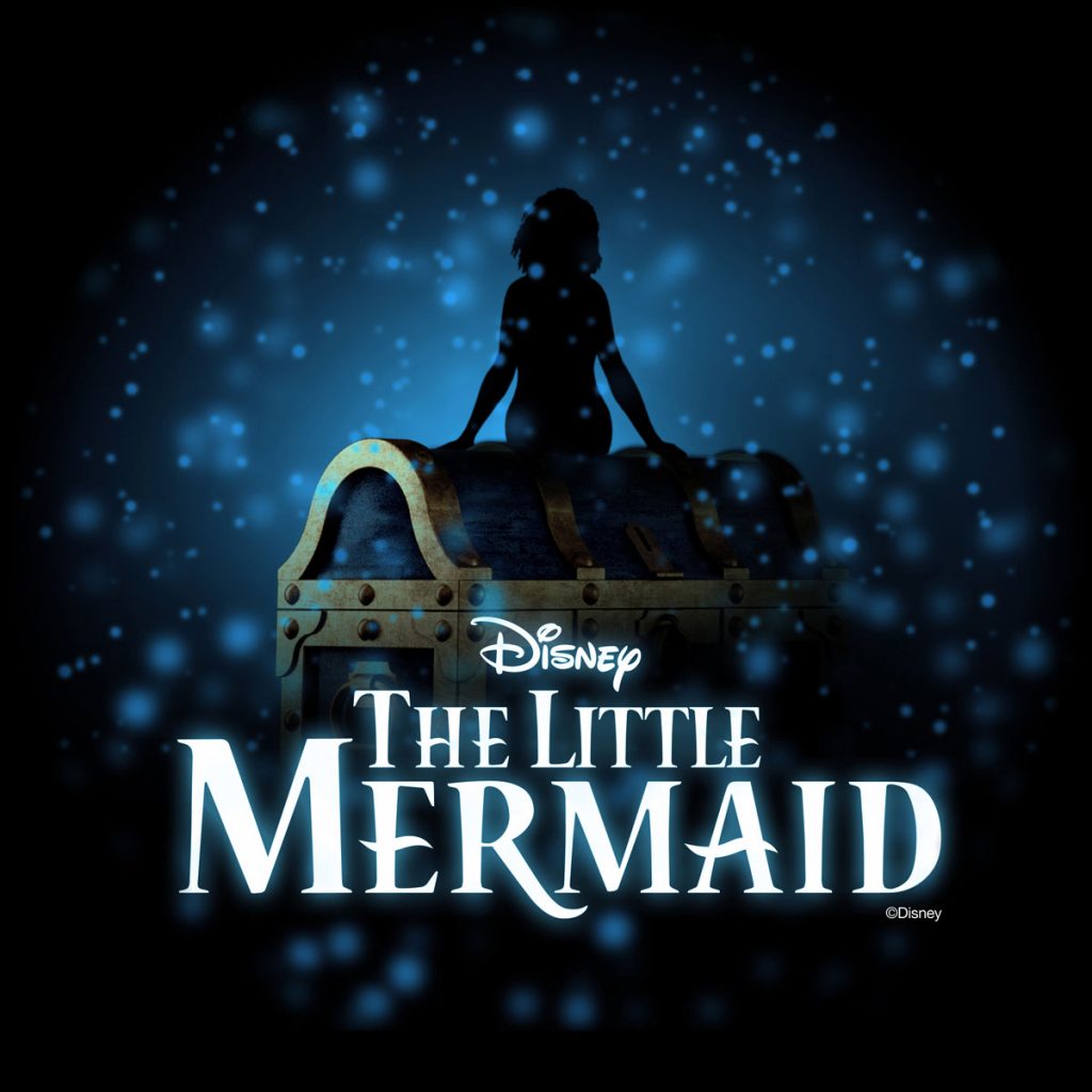 Disney Little Mermaid Wish