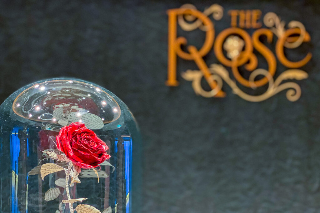 Disney Wish The Rose Entrance