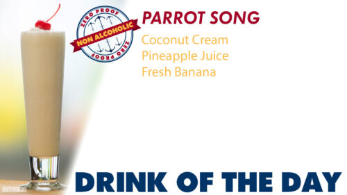 Parrot Song Image
