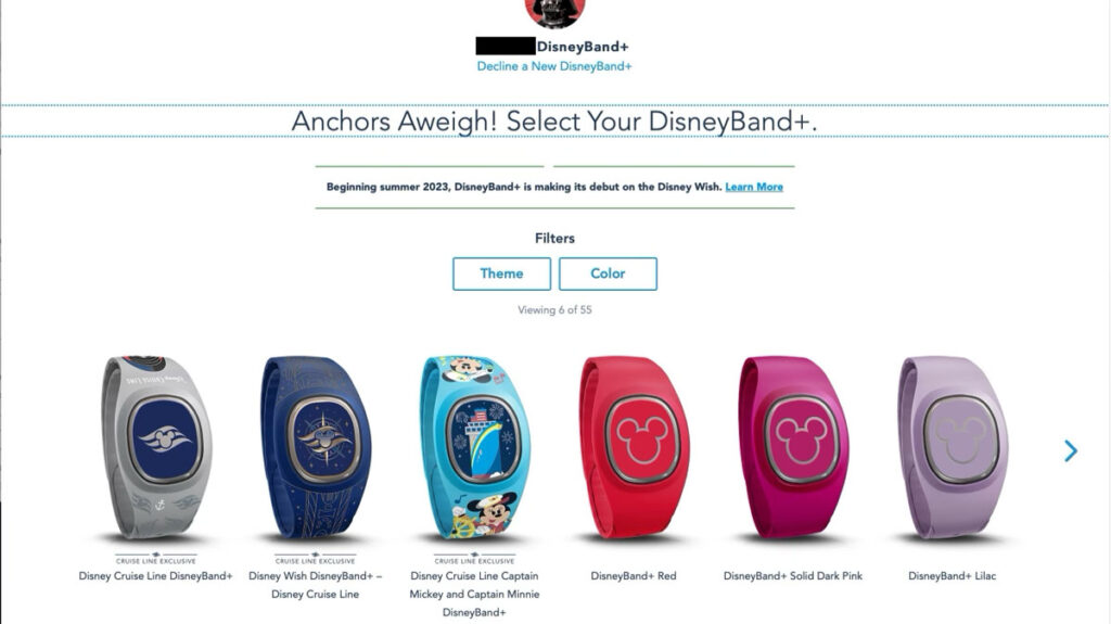 DCL DisneyBand Ordering 5