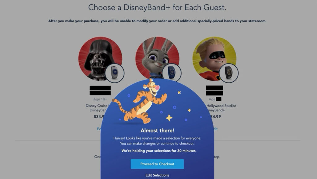 DCL DisneyBand Ordering 7