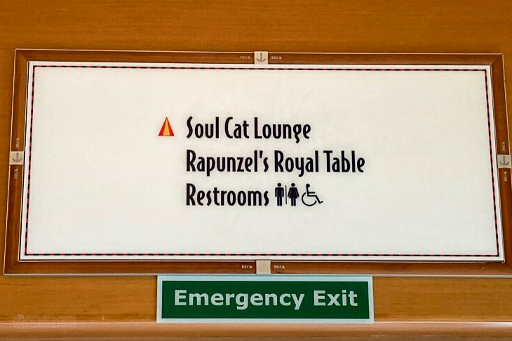 Diseny Magic Soul Cat Lounge