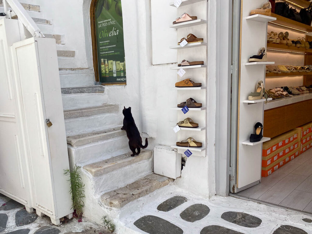 Mykonos Matogianni Street Black Cat