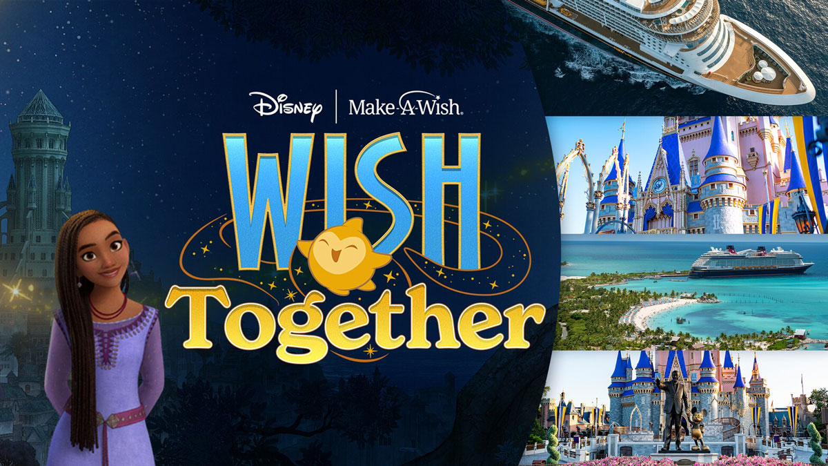 Disney Wish - JAKKS Pacific, Inc.