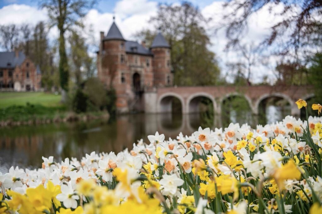 Adventures By Disney, Holland And Belgium River Cruise – Tulip Tour