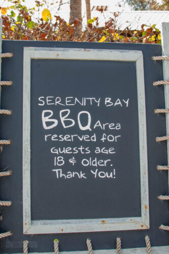 Fantasy Castaway Cay Serenity Bay Bbq Lunch 20121214