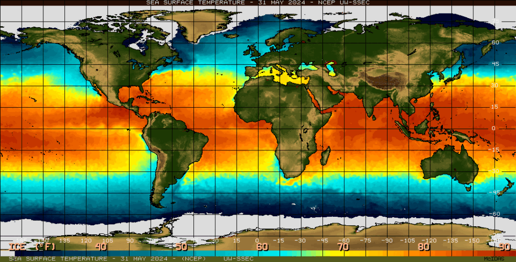 SSEC Sea Surface Temperatures 20240531