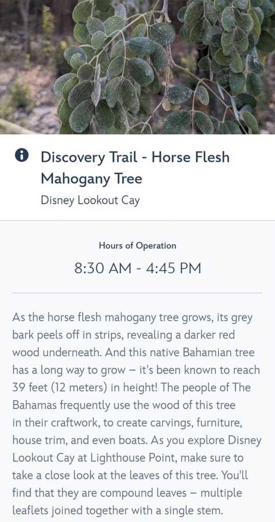 DCL APP Discovery Trail Horse Flesh Mahogany Tree