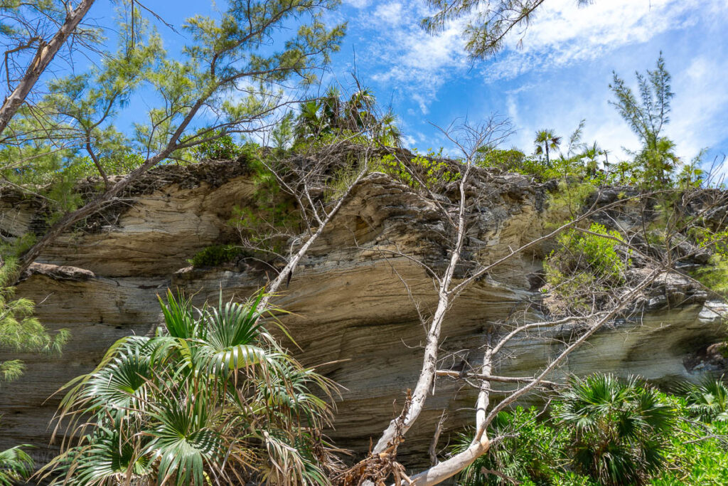 Lookout Cay Nature Trail Limestone Cliffs