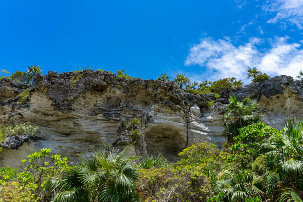 Lookout Cay Nature Trail Limestone Cliffs