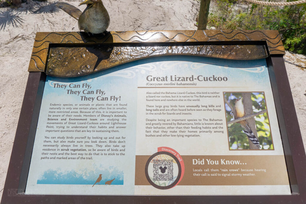 Lookout Cay Nature Trail Sign Great Lizard Cuckoo