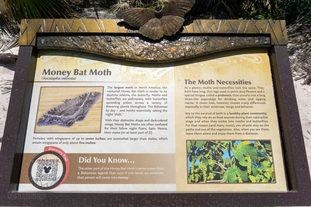 Lookout Cay Nature Trail Sign Money Bat Moth