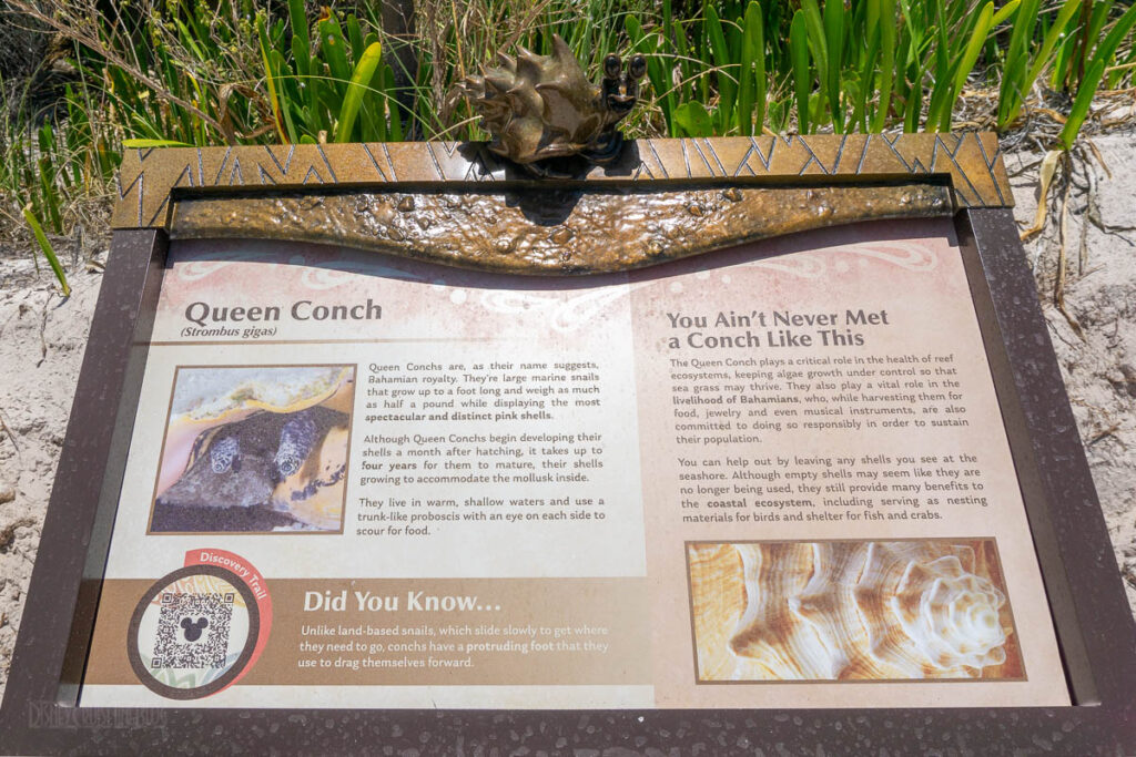 Lookout Cay Nature Trail Sign Queen Conch