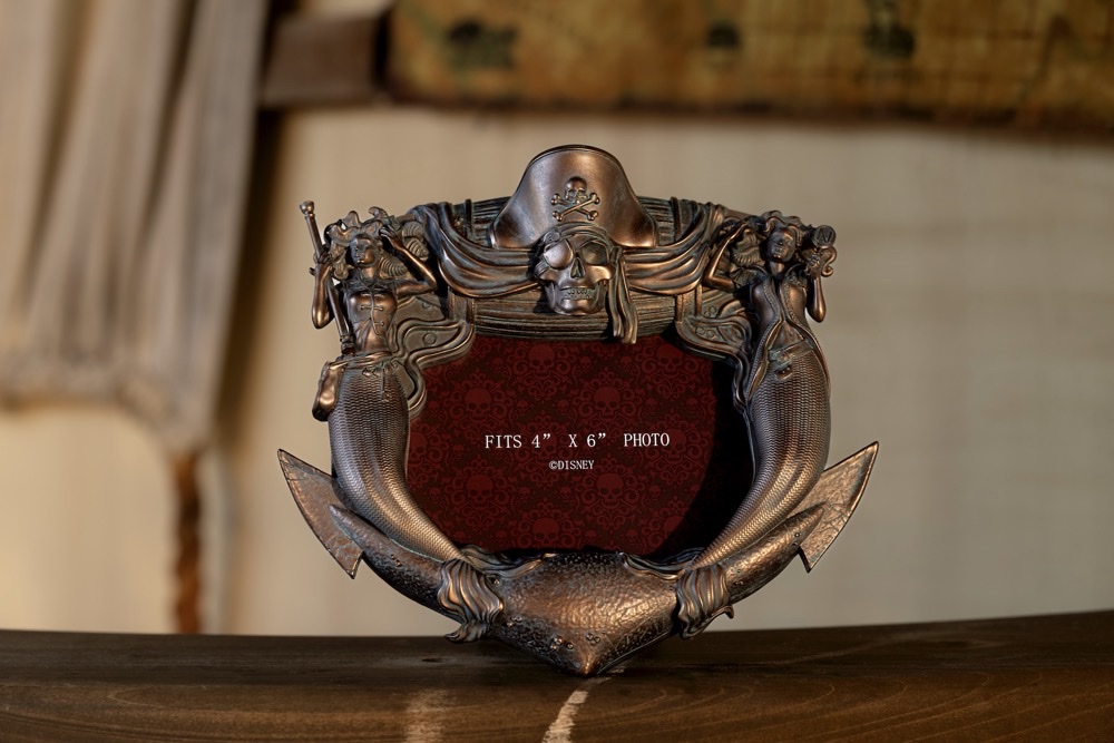 DCL Destiny Cask Cannon Merch Photo Frame